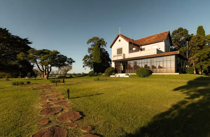 Experiencia en Colonia con viñedo