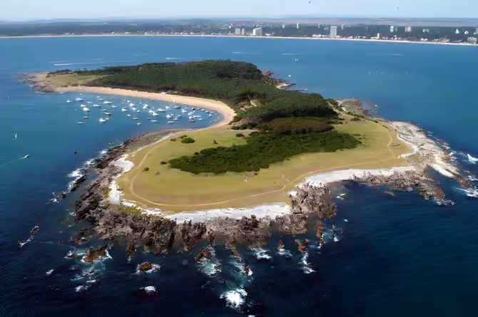 Tour privado a la Isla Gorriti