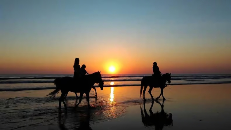 Cabalgata en la naturaleza